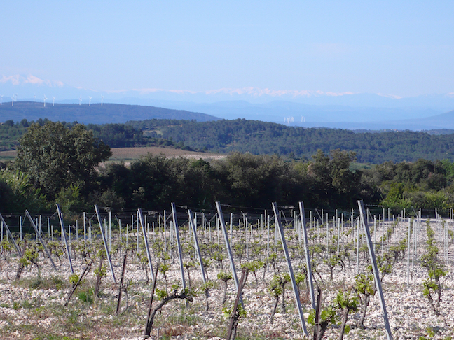 pyrenees